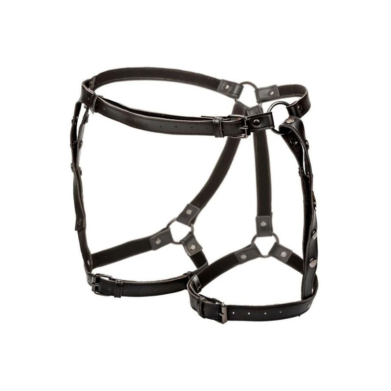 Riding Thigh Harness Plus