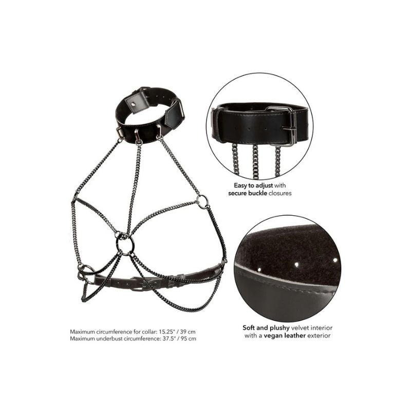 Chain Collar Harness